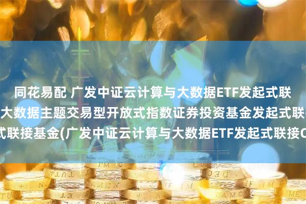 同花易配 广发中证云计算与大数据ETF发起式联接C: 广发中证云计算与大数据主题交易型开放式指数证券投资基金发起式联接基金(广发中证云计算与大数据ETF发起式联接C)基金产品资料概要更新