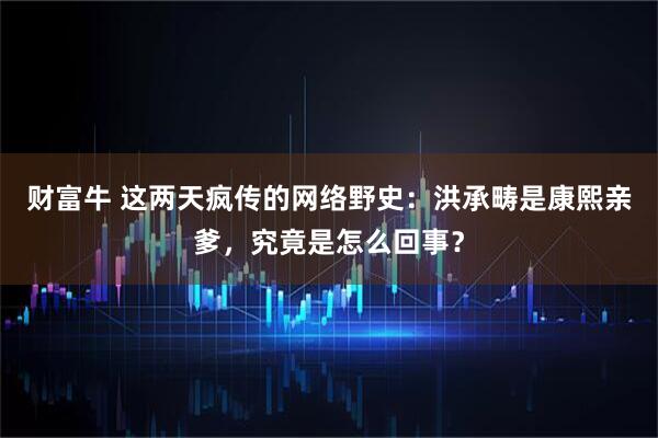 财富牛 这两天疯传的网络野史：洪承畴是康熙亲爹，究竟是怎么回事？