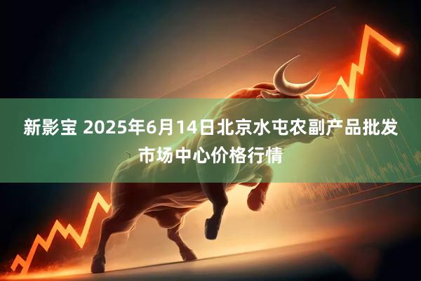 新影宝 2025年6月14日北京水屯农副产品批发市场中心价格行情