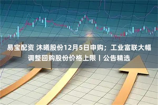 易宝配资 沐曦股份12月5日申购；工业富联大幅调整回购股份价格上限丨公告精选