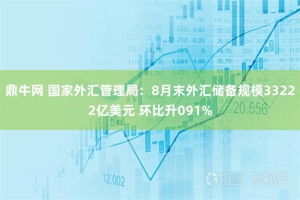 鼎牛网 国家外汇管理局：8月末外汇储备规模33222亿美元 环比升091%